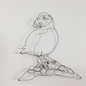Drawing with Wire