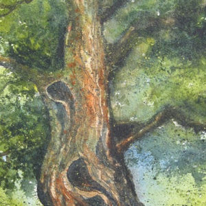Drawing & Painting Trees in Watercolour