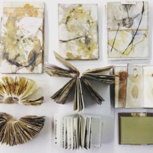 Beautiful Botanical Books