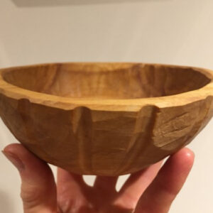 The Craft of Green Wood Bowl Carving