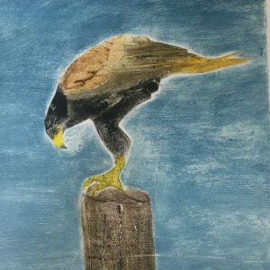 Printmaking - Develop your Collagraph Skills (3 day series)