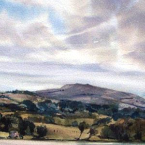 Painting Field Patterns in any Medium