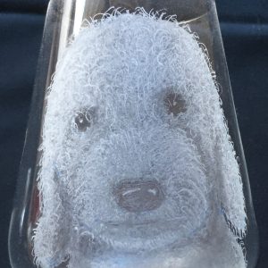 Introduction to the Art of Glass Engraving