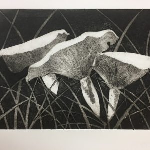 Printmaking - Introduction to Collagraph (3 day series)