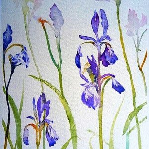 Painting in Watercolour - Key Skills