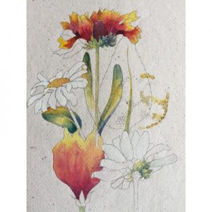 Wonderful Ways with Watercolour for Botanical Subjects (6 x 3 hr mornings)