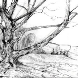 Landscape Drawing for Beginners