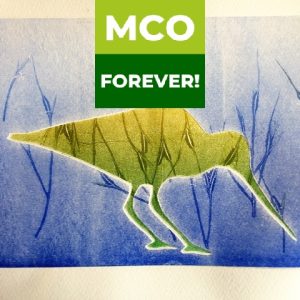 Printmaking - Monoprint Inspired by Wildlife of the Dales