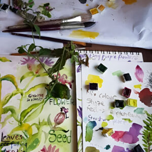 Nature Art Journaling