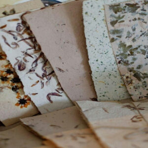 Paper Making with Plants