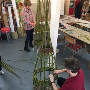 Willow Obelisks & Plant Supports for the Garden