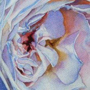 Botanical Painting - Exploring the Potential of Plants