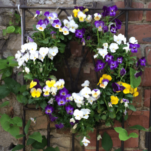 Make a Wonderful Living Wreath - Morning Session