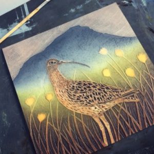 Curlews, Coots & Cormorants in Collagraph