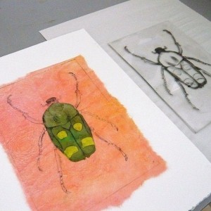 Drypoint Printmaking - Line and Colour