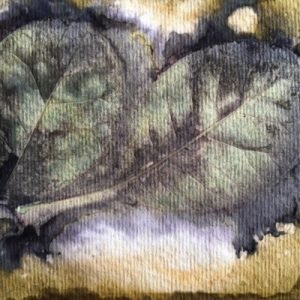 Eco Printing Using Plant Materials