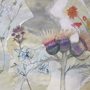 Mixed Media - Natural Forms