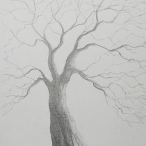 Essential Drawing Techniques for Artists