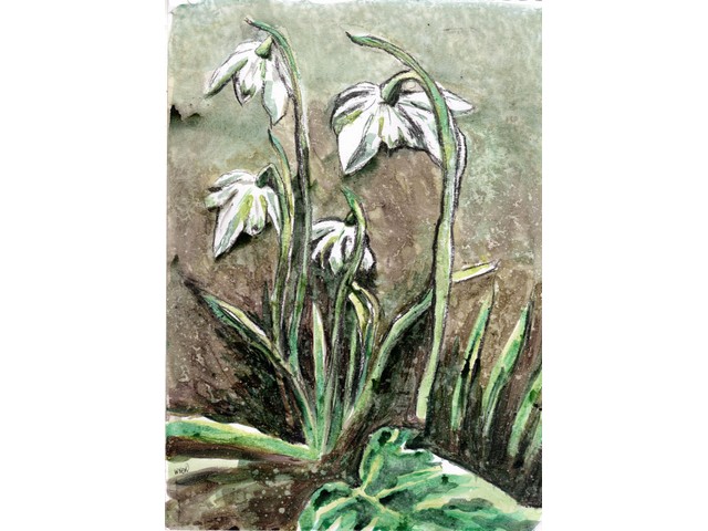 snowdropslargeeggtemp261webpng